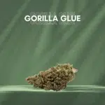 cbd