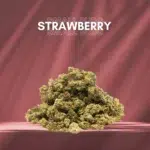 Fleurs cbd