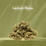 Fleurs cbd