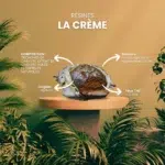 Résine