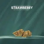 fleurs cbd