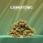 Small Buds Premium - Cannatonic