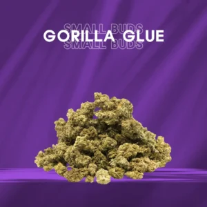 Small Buds Clásico - Gorilla Glue