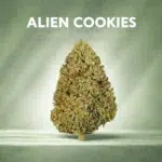 Fleurs CBD  ALIEN COOKIES - Glasshouse - France