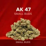 Small Buds Classique - AK 47