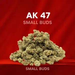Small Buds Clásico - AK 47