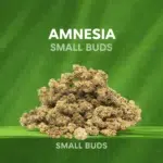 small buds cbd amnesia