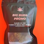 Sachet Big Buds PROMO 10gr