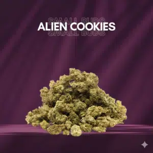 Small Buds Classique - ALIEN COOKIES
