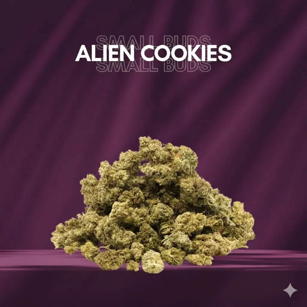 Small Buds Clásico - ALIEN COOKIES